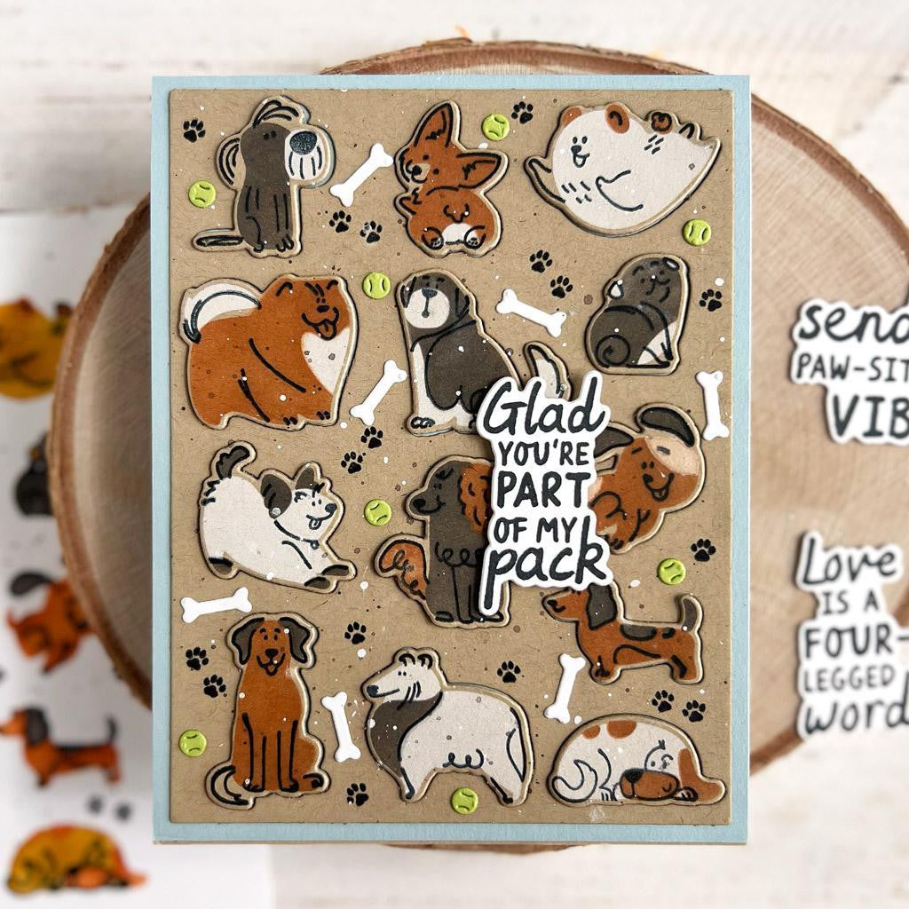 Paw-sitively Fabulous Stamp Set