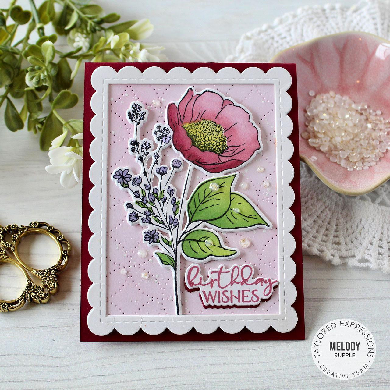 Nature's Canvas Stamp Set