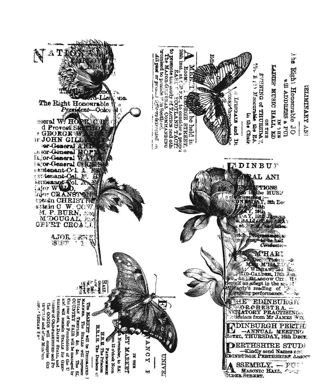 Tim Holtz Cling Mount Stamp Botanic Collage CMS 447