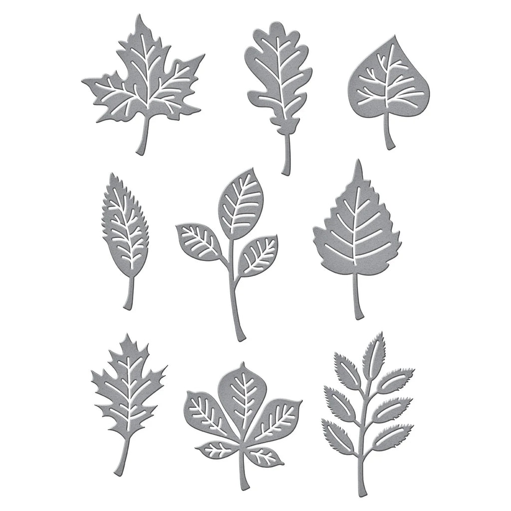 Autumn Leaves Etched Dies from the Fall Traditions Collection