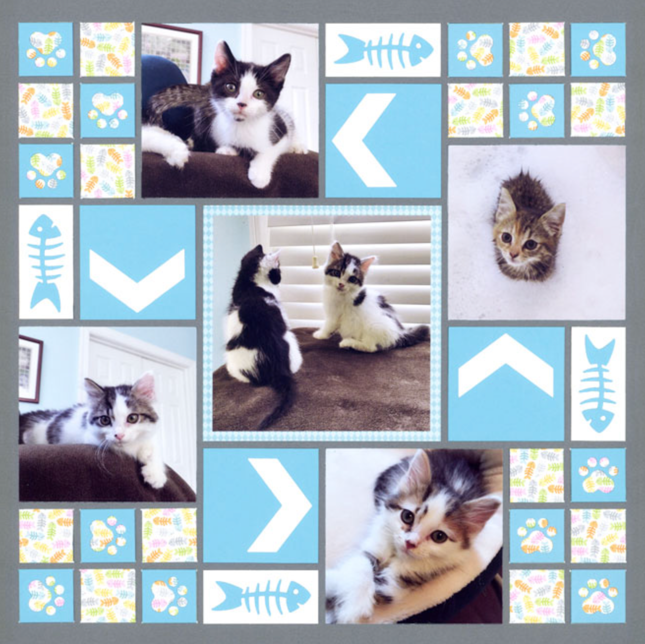 Here Kitty Die Set (L1) USA