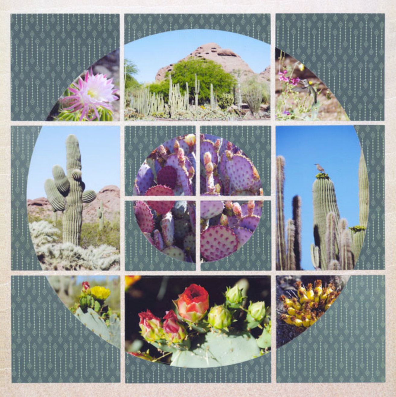 Horizon 3x4, 2x4h, and 3x3 Die (L2)