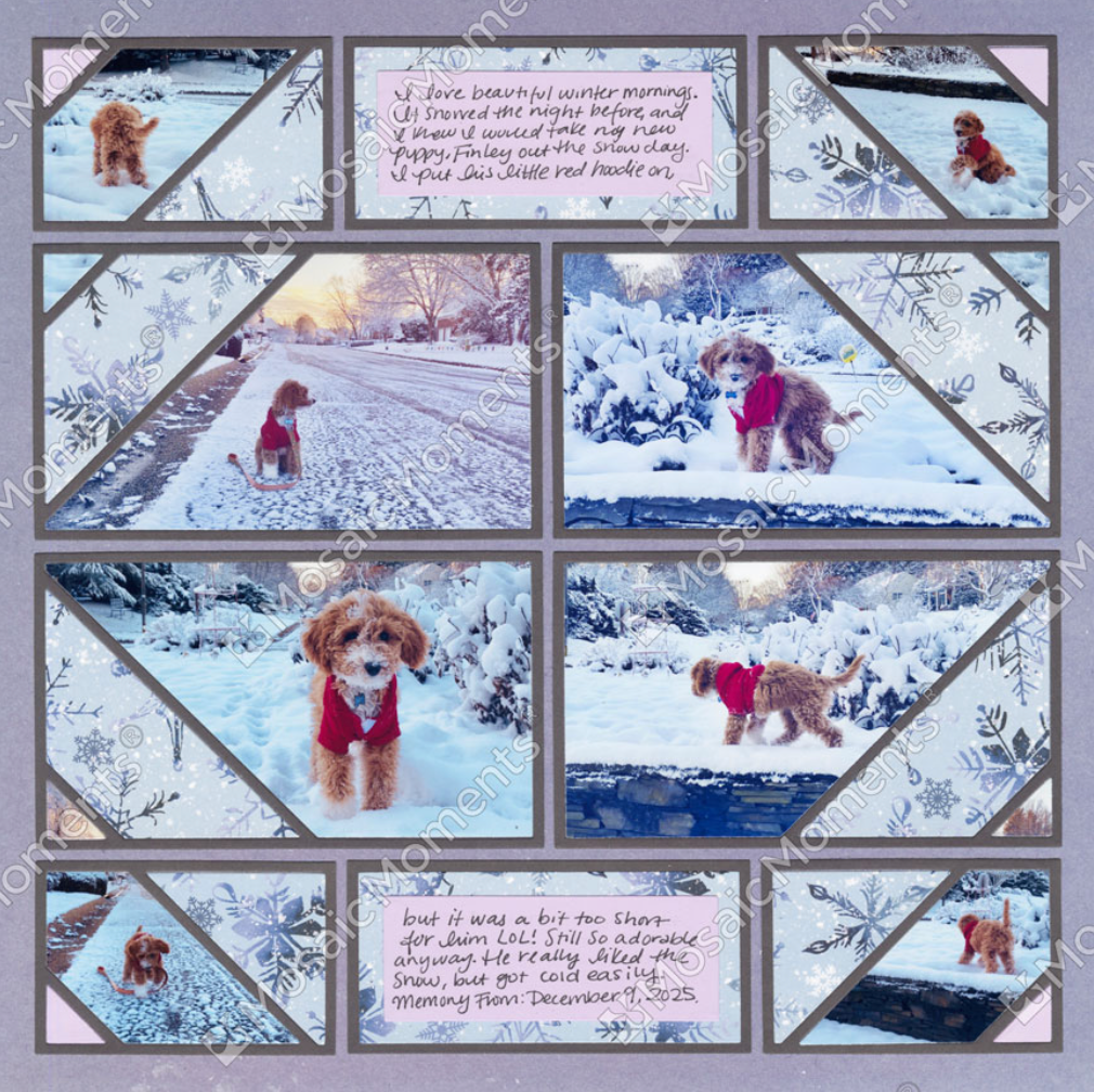 Phase Two 3x5 Die Set (L3) - Month 2