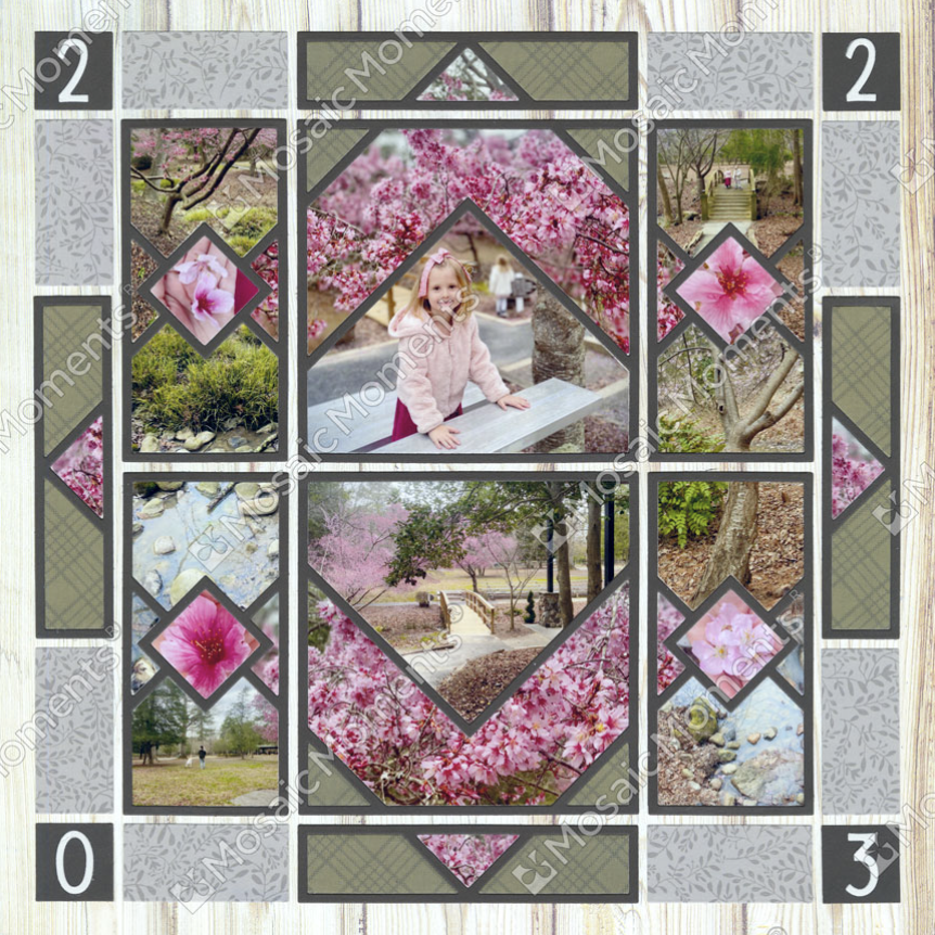 Phase Two 4x4 and 2x4 & 1x4 Diamond Die (L3) Month 3