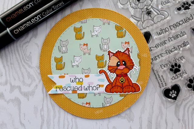 Stitched Circle Dies